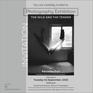 The Wild and the Tender