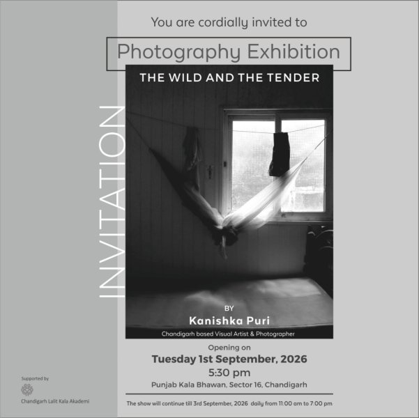 The Wild and the Tender