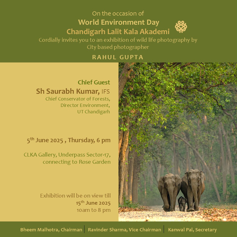 World Environment Day