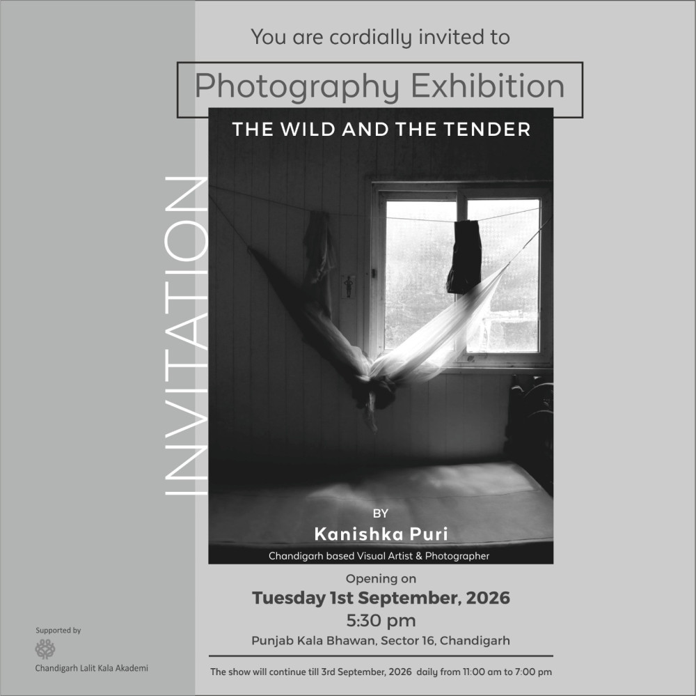 The Wild and the Tender